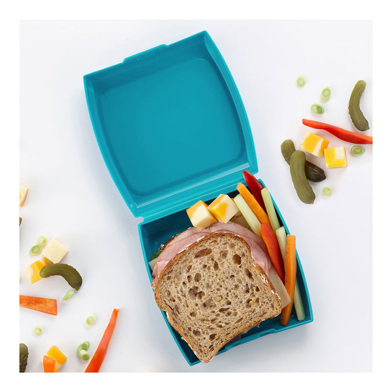 Sandwich Lunch Box