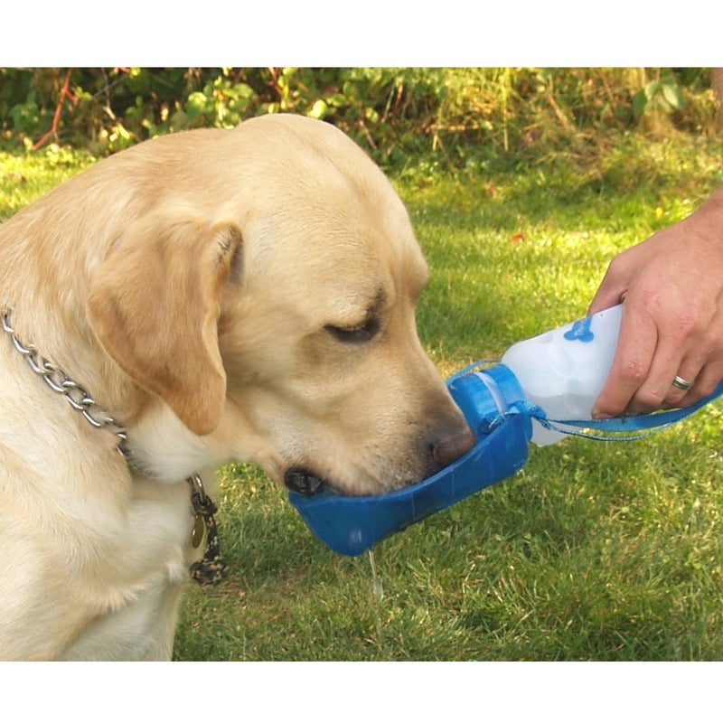 Portable Pet Water Bottle and Drinking Bowl